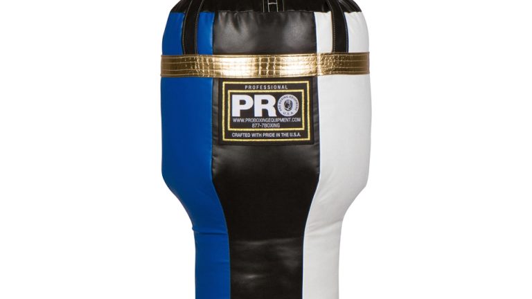 Your Guide to Punching Bag Prices in 2025: Types of Punching
